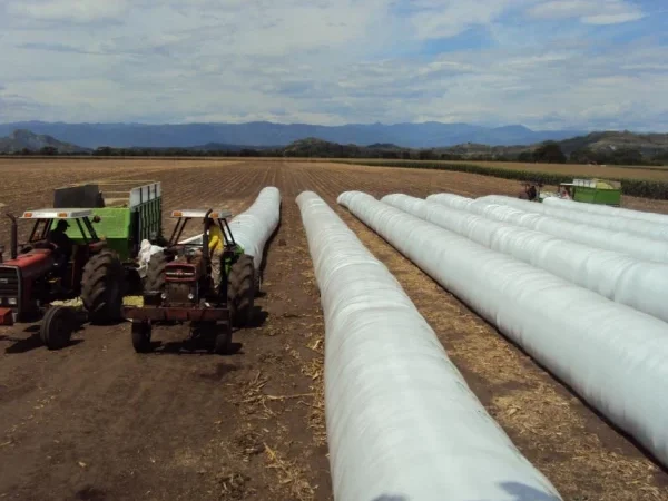 agro Tucumán tucumano Grupo Ruiz agroindustria argentina legumbres Carlos Ruiz Juárez Marcelo Ruiz Juárez