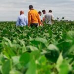¿Qué obstáculos frenan a la agroindustria argentina?