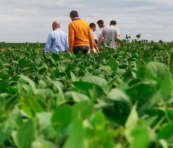 Agricultura Tucumán agroindustria argentina