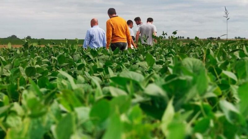 Agricultura Tucumán agroindustria argentina Carlos Ruiz Juárez Grupo