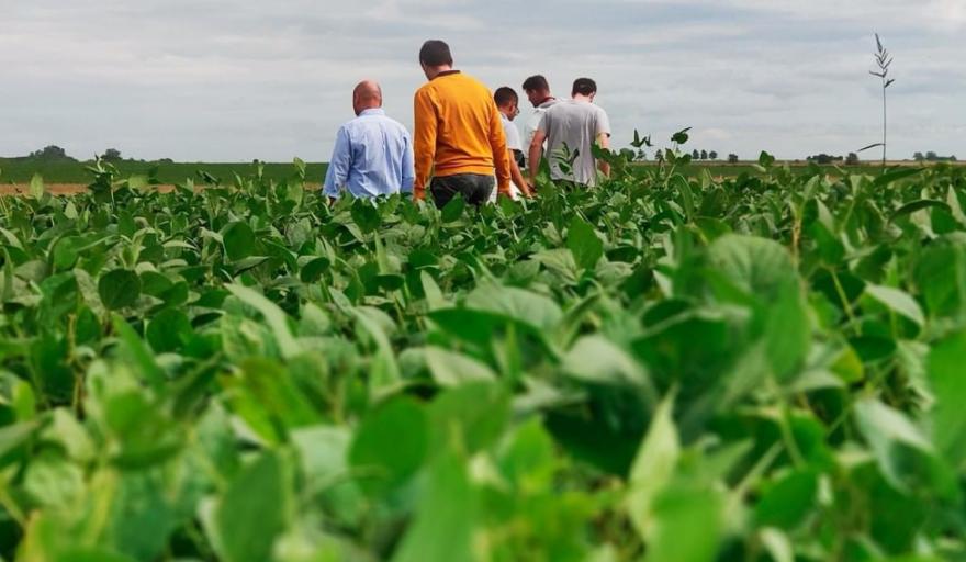 Agricultura Tucumán agroindustria argentina