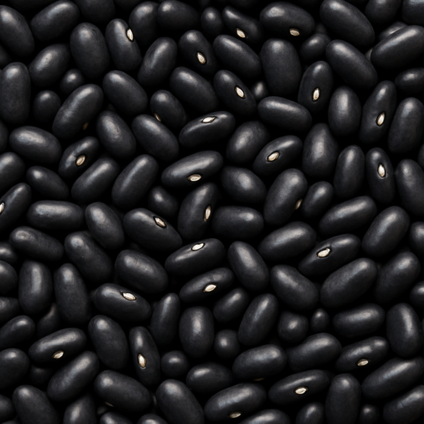 legumbres Grupo Ruiz porotos negros
