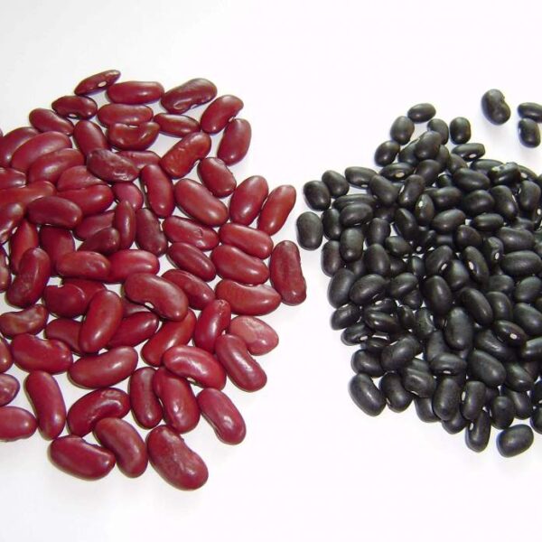 porotos negros Tucumán Grupo Ruiz