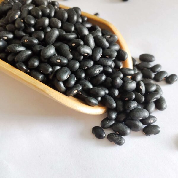 porotos negros Grupo Ruiz