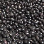 Demanda global y valor nutricional: claves del auge de los porotos