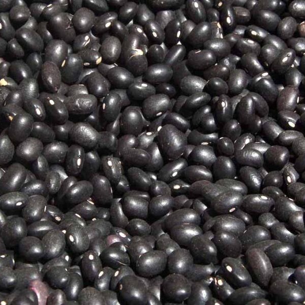 porotos negros Grupo Ruiz