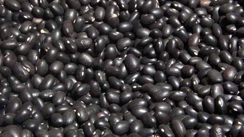 porotos negros Grupo Ruiz