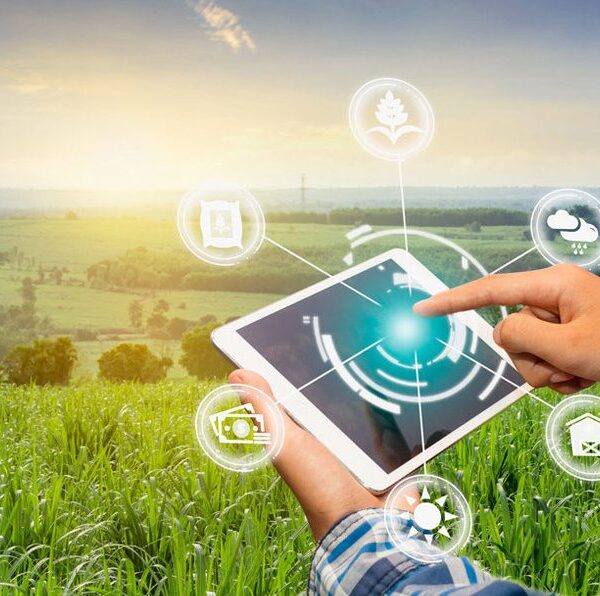 Marcelo Ruiz Juárez